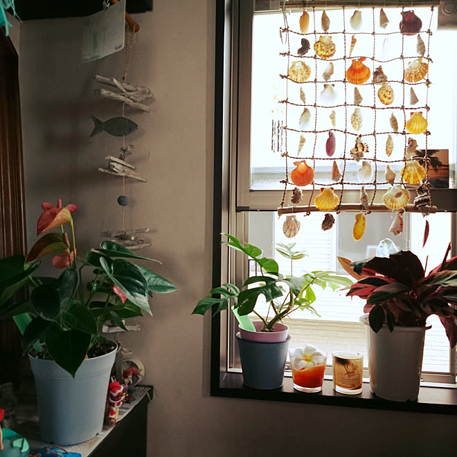 玄関 入り口 観葉植物 ハワイ 南国風 花のインテリア実例 18 06 23 08 04 29 Roomclip ルームクリップ