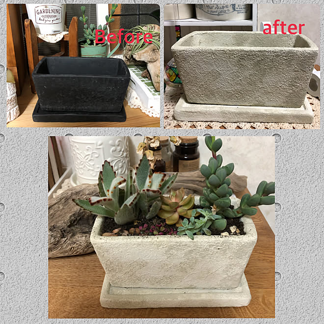 植木鉢ペイント ターナーミルクペイントスノーホワイト ターナープラスターメディウム ターナーミルクペイント ヘンプベージュ 多肉寄せ植え などのインテリア実例 01 19 23 52 28 Roomclip ルームクリップ