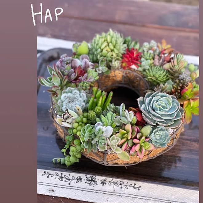 多肉寄せ植え リース アンティーク ガーデニング 多肉植物 などのインテリア実例 21 08 21 41 56 Roomclip ルームクリップ