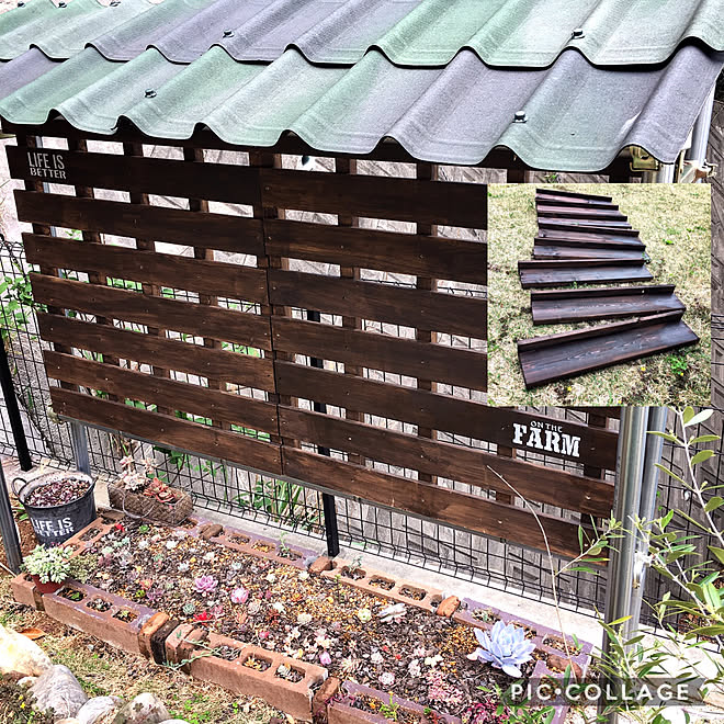 多肉花壇 多肉のある暮らし 多肉植物 芝生の庭 花壇 などのインテリア実例 04 21 14 30 08 Roomclip ルームクリップ 多肉花壇 多肉のある暮らし 多肉植物 芝生の庭 花壇 などのインテリア実例 04 21 14 30 08 Roomclip ルームクリップ