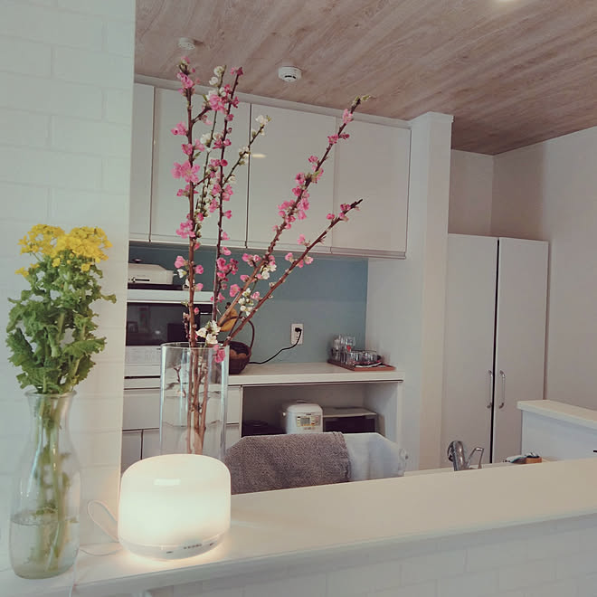 キッチン 花のある生活 季節の花 桃の花 菜の花のインテリア実例 02 25 21 25 24 Roomclip ルームクリップ