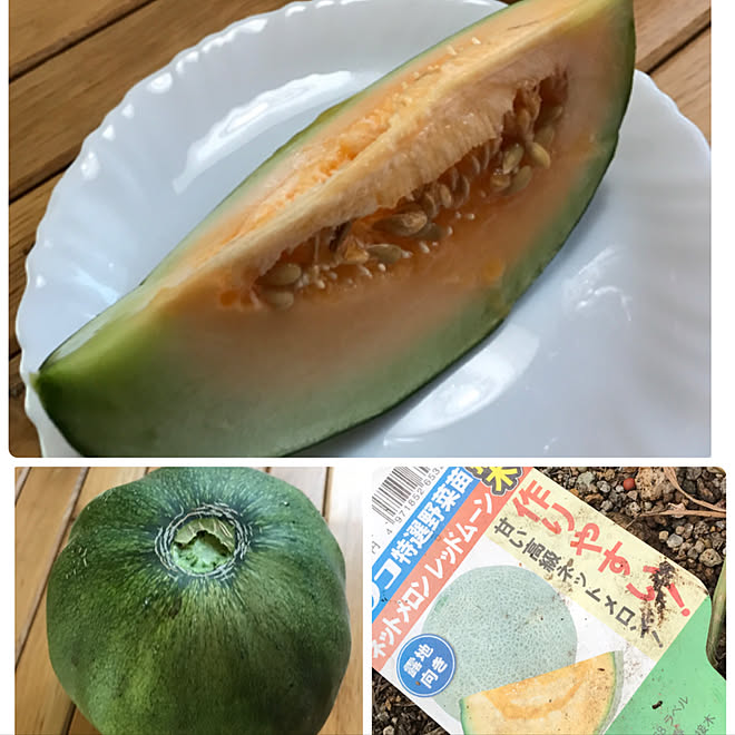 玄関 入り口 家庭菜園 家庭菜園のメロン いつもいいねやコメントありがとう 甘かったよ などのインテリア実例 17 08 06 18 56 35 Roomclip ルームクリップ 玄関 入り口 家庭菜園 家庭菜園のメロン いつもいいねやコメントありがとう 甘かったよ などのインテリア実例 17 08 06 18 56 35 Roomclip ルームクリップ