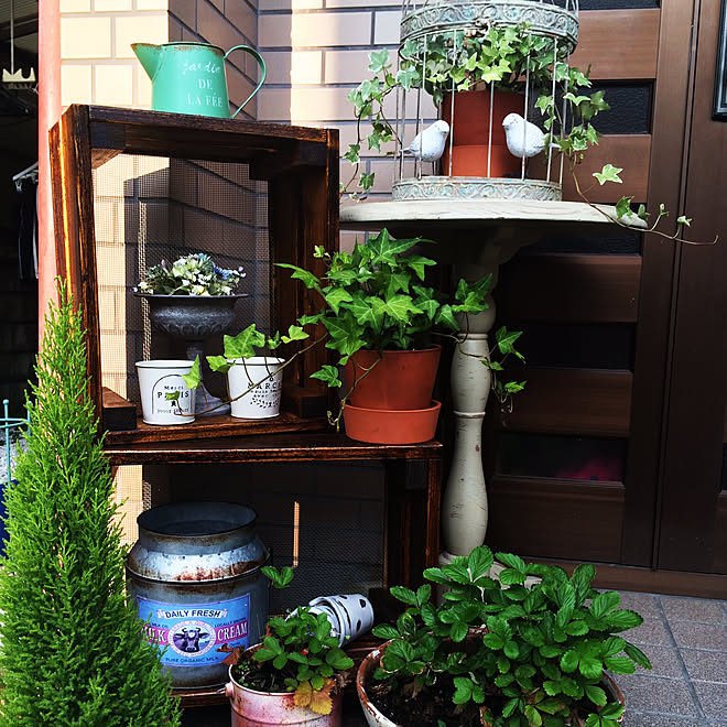 DIY/雑貨/観葉植物/玄関/入り口のインテリア実例 - 2019-11-18 00:25:20