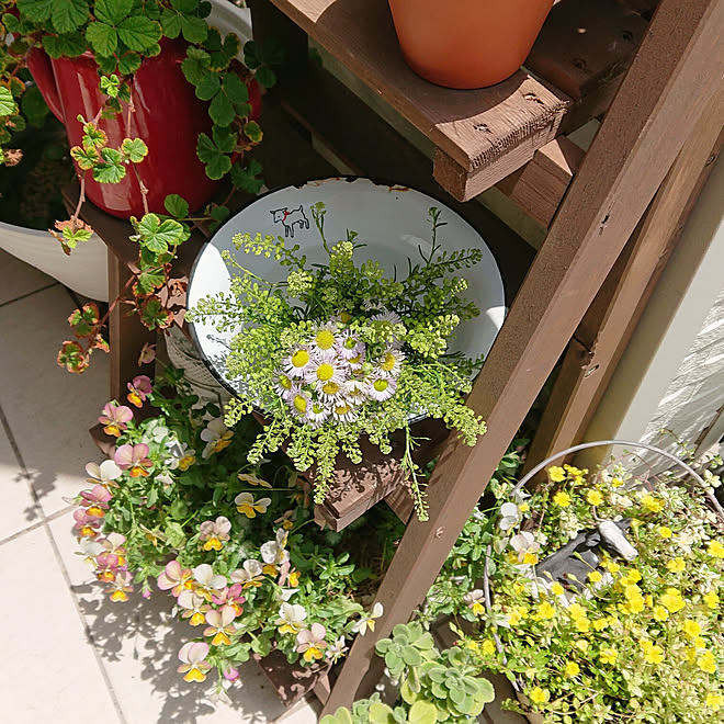 玄関 入り口 ナズナ 野の花のブーケ ハルジオン うしさん などのインテリア実例 05 23 13 28 12 Roomclip ルームクリップ