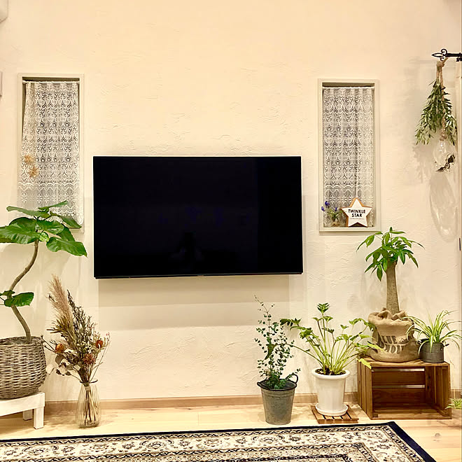 ユーカリグニー オリーブドライ 折鶴蘭 クッカバラ パキラ などのインテリア実例 19 03 18 06 09 18 Roomclip ルームクリップ