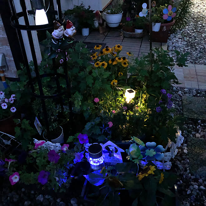 夜の玄関 夜の風景 夜の花壇 ソーラーライト グラデーションライト などのインテリア実例 06 23 19 47 32 Roomclip ルームクリップ