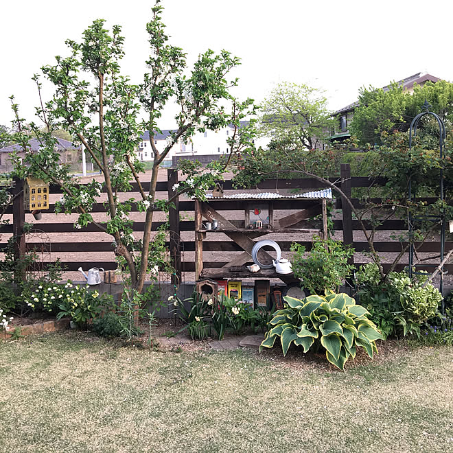 ウッドフェンス クリスマスローズ バラ ギボウシ 芝生の庭 などのインテリア実例 19 04 22 16 48 18 Roomclip ルームクリップ