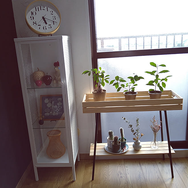 リビング 買ってよかった Ikea Ikeaの新商品 ガラスキャビネット などのインテリア実例 21 07 21 23 07 13 Roomclip ルームクリップ