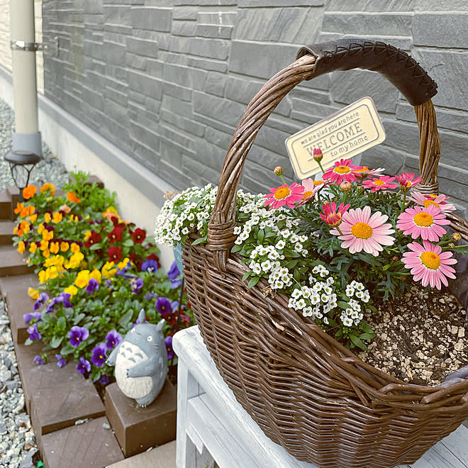 日陰の花壇 木製花壇 廃材リメイク 花壇diy パンジーとビオラ などのインテリア実例 22 03 30 22 59 51 Roomclip ルームクリップ 日陰の花壇 木製花壇 廃材リメイク 花壇diy パンジーとビオラ などのインテリア実例 22 03 30 22 59 51 Roomclip ルームクリップ