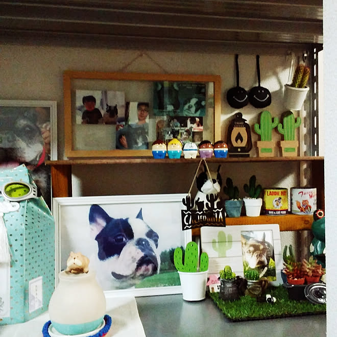 棚 100均アイテム カメラマークが出たので キャンドゥ ニトリ などのインテリア実例 18 05 17 23 10 57 Roomclip ルームクリップ