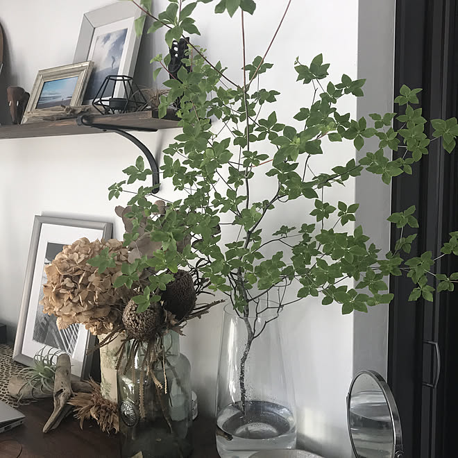 流木ディスプレイ Actus アクタス 無印良品 Zara Home H M などのインテリア実例 05 28 13 54 00 Roomclip ルームクリップ