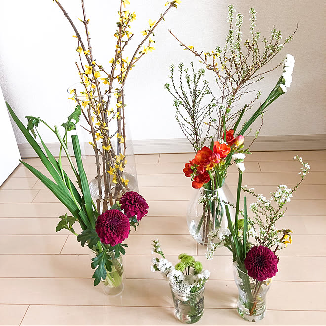 リビング 花のある暮らし 春 ニトリ花瓶 ビーカーに植物 などのインテリア実例 19 03 04 02 02 01 Roomclip ルームクリップ