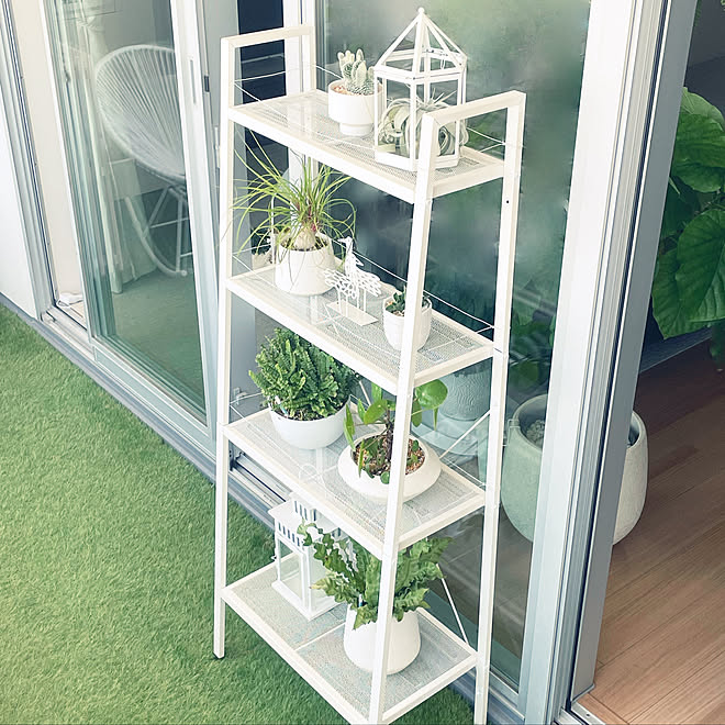 マンションベランダ 整理収納アドバイザー ベランダガーデニング マンションベランダガーデン 植物のある暮らし などのインテリア実例 22 06 25 23 27 36 Roomclip ルームクリップ