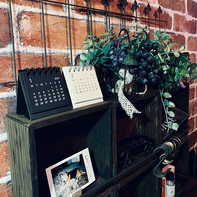 実家に居たワンコ 17歳でお空に移住/デスクトップミニカレンダー 