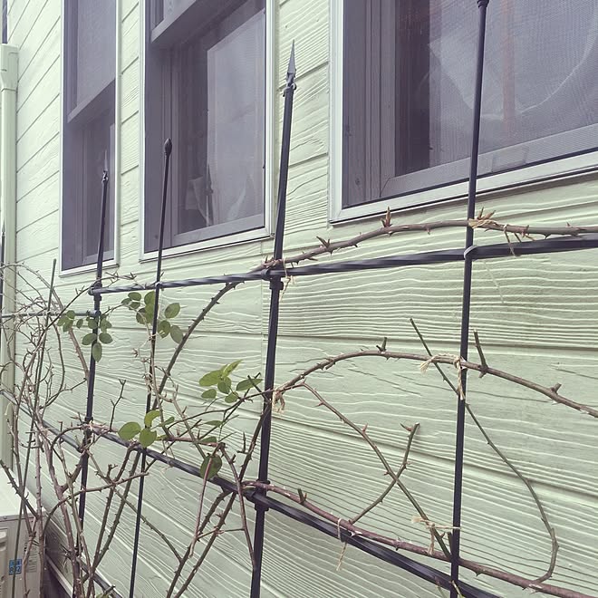 玄関 入り口 アイアン風支柱 黄色い薔薇 グラハムトーマス イングリッシュローズ などのインテリア実例 17 03 07 21 47 19 Roomclip ルームクリップ