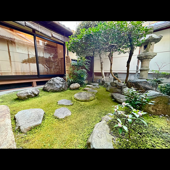 庭石 縁側 灯籠 苔庭 坪庭 などのインテリア実例 22 04 01 57 12 Roomclip ルームクリップ