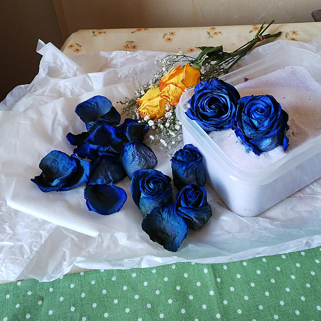 ドライフラワーをアレンジしてお部屋に飾ろう スワッグや100均アイテムでつくるアイデアもご紹介 Roomclip ルームクリップ