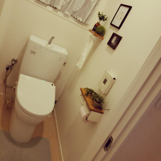 バス トイレ セリア フェイクグリーン トイレのディスプレイ トイレインテリア などのインテリア実例 05 16 21 47 22 Roomclip ルームクリップ