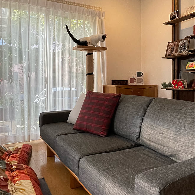 キャットタワーdiy ビー 弟 白黒 猫と暮らす家 ハンドメイド ソファー布の張り替え などのインテリア実例 22 11 11 09 16 42 Roomclip ルームクリップ