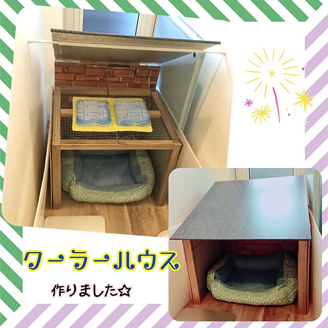 ベッド周り 涼しい 犬小屋 いぬと暮らす 暑い などのインテリア実例 16 07 22 12 51 Roomclip ルームクリップ ベッド周り 涼しい 犬小屋 いぬと暮らす 暑い などのインテリア実例 16 07 22 12 51 Roomclip ルームクリップ