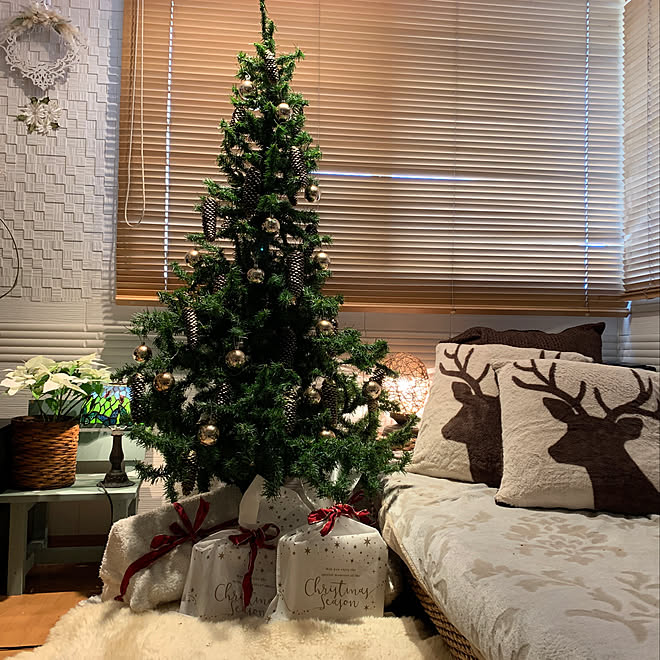 散歩の戦利品 ニチベイウッドブラインド ブログ更新しました アミブルージュ クリスマスコースター ポインセチア白 などのインテリア実例 12 23 08 37 31 Roomclip ルームクリップ