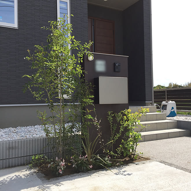 アイビー ハツユキカズラ 半日陰 ブルーベリー ガーデニング初心者 などのインテリア実例 19 05 05 14 17 33 Roomclip ルームクリップ