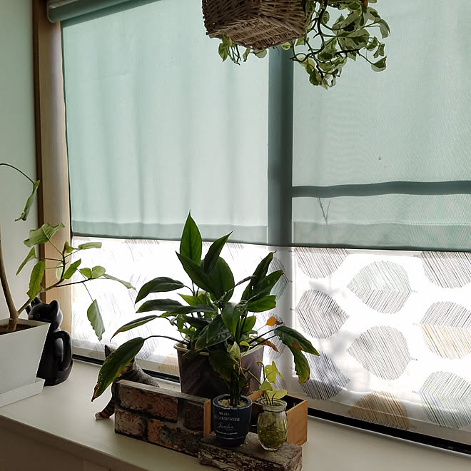 部屋全体 ファブリック 北欧柄生地 ロールスクリーン手作り いいね コメント フォロー感謝 などのインテリア実例 19 10 07 11 47 04 Roomclip ルームクリップ