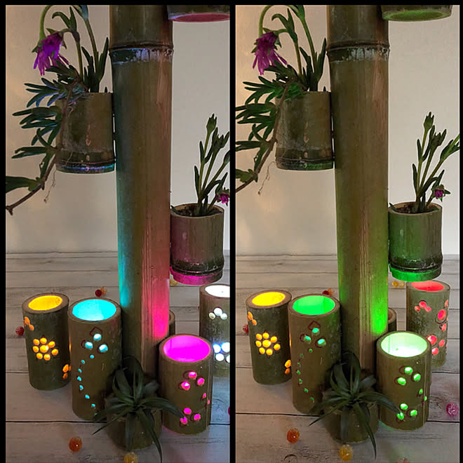 壁 天井 灯りに癒される 竹の下部はledキャンドルを忍ばせて 竹の上部は植木鉢 植木鉢 などのインテリア実例 18 06 12 22 21 25 Roomclip ルームクリップ