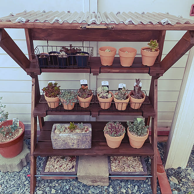 多肉棚diy 開閉式 屋根 Diy 多肉植物 などのインテリア実例 21 05 11 19 56 55 Roomclip ルームクリップ