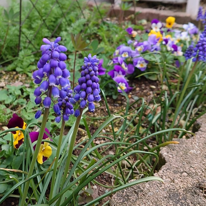 Uapwzagysoaccm Uapwzagysoaccm