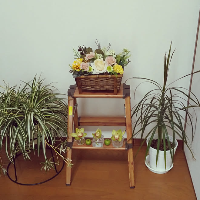 部屋全体 カゴ お花 花籠 花のある暮らし などのインテリア実例 19 06 24 14 05 51 Roomclip ルームクリップ