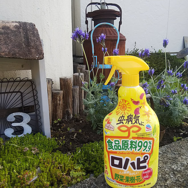 ガーデニング 植物のある暮らし 害虫対策 アースガーデン ロハピ などのインテリア実例 21 04 30 07 46 11 Roomclip ルームクリップ