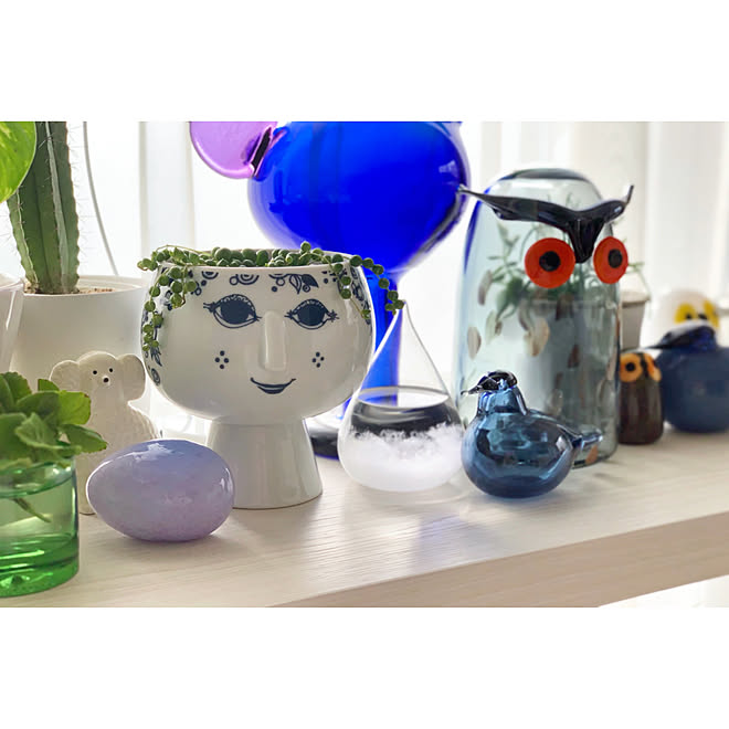 観葉植物/北欧インテリア/マンションインテリア/イッタラ/マンション...などのインテリア実例 - 2019-12-03 13:51:57