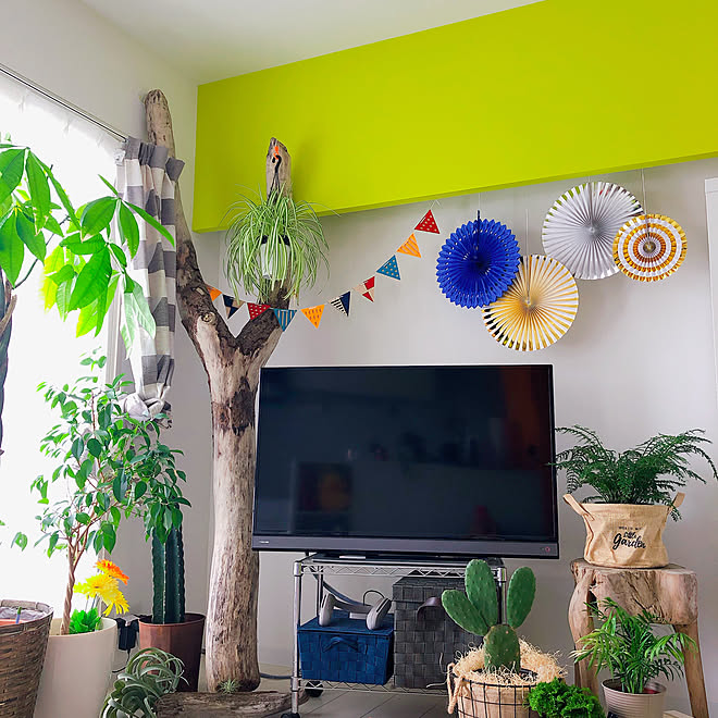 Awesome Store 観葉植物 100均 流木ディスプレイのインテリア実例 21 08 16 08 56 Roomclip ルームクリップ Awesome Store 観葉植物 100均 流木ディスプレイのインテリア実例 21 08 16 08 56 Roomclip ルームクリップ