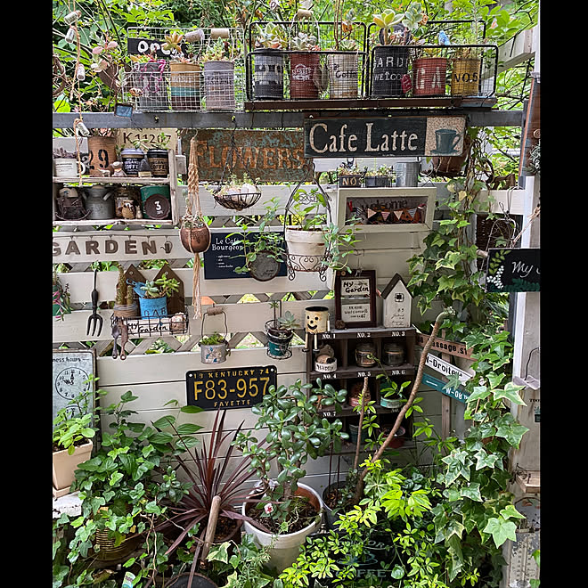 ガーデンカフェ風に憧れる ガーデニング ガーデン 植物のある暮らし 板壁 などのインテリア実例 21 06 07 17 10 04 Roomclip ルームクリップ