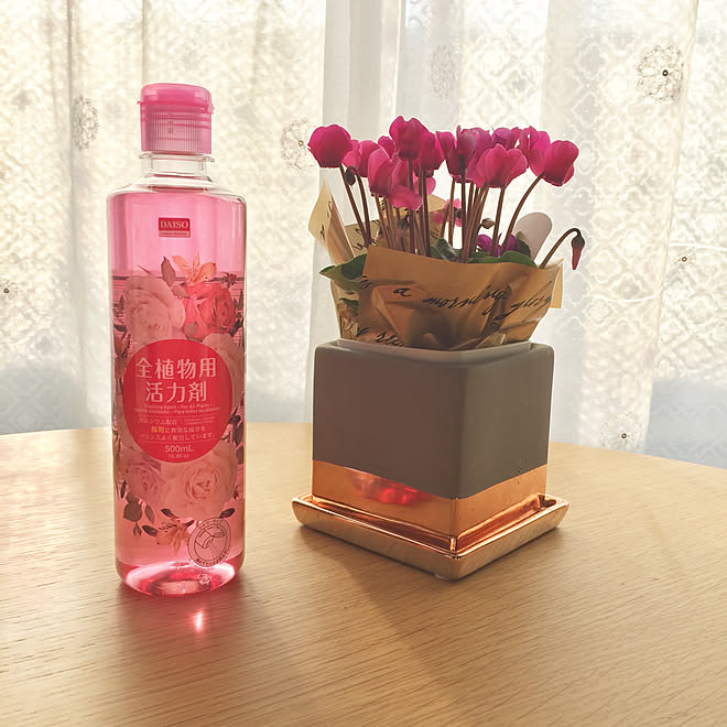 机 栄養剤 白と濃ピンクもあり 300円商品 ダイソーの植物 などのインテリア実例 18 12 12 11 25 32 Roomclip ルームクリップ