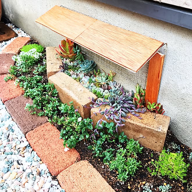 机 庭 低予算 10年振りの庭造り 多肉植物 などのインテリア実例 17 05 07 17 51 02 Roomclip ルームクリップ