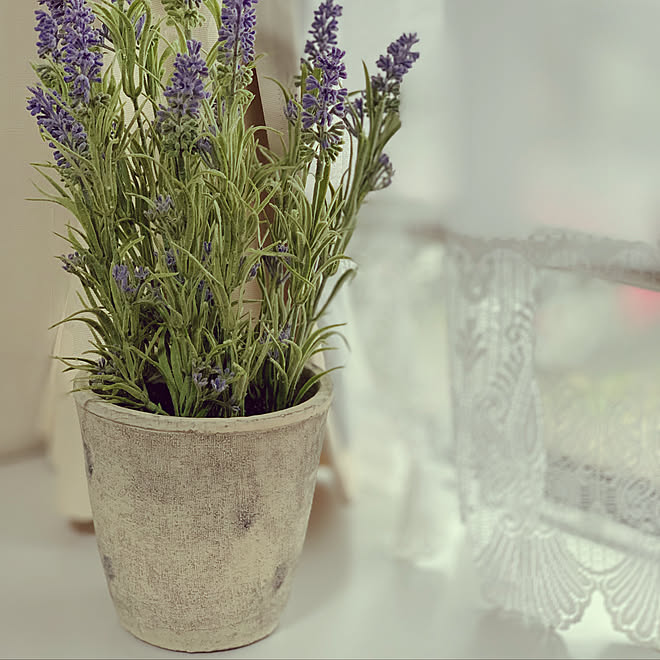 ニトリの雑貨 ニトリ お花のある暮らし お花大好き 好きなものに囲まれて などのインテリア実例 05 10 15 22 35 Roomclip ルームクリップ