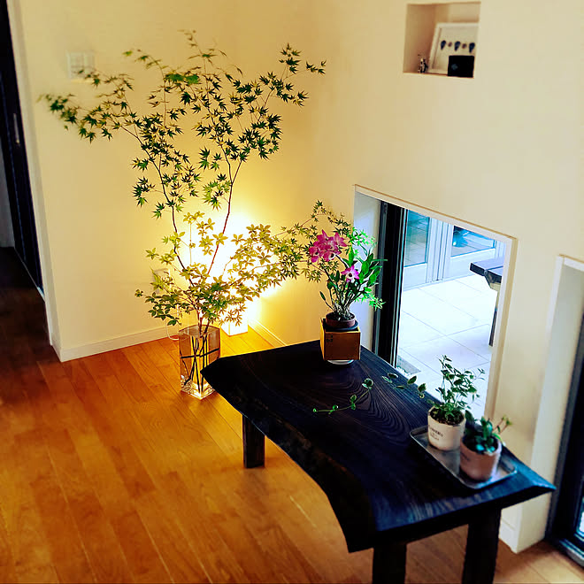 玄関 入り口 枝 和モダン 観葉植物 ナチュラル などのインテリア実例 18 05 27 17 56 32 Roomclip ルームクリップ