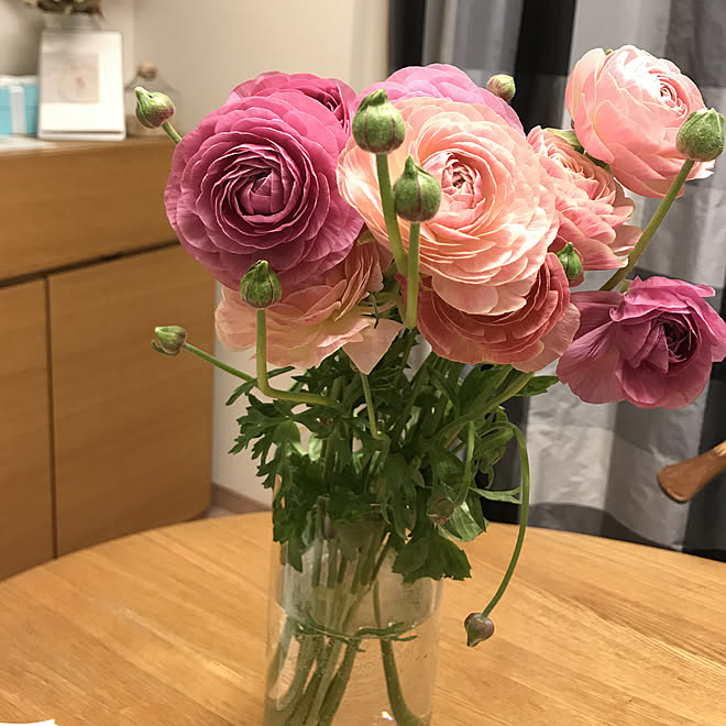 アクタス ラナンキュラス 花のある暮らし Ikea 生花のある暮らし などのインテリア実例 19 03 06 21 43 03 Roomclip ルームクリップ