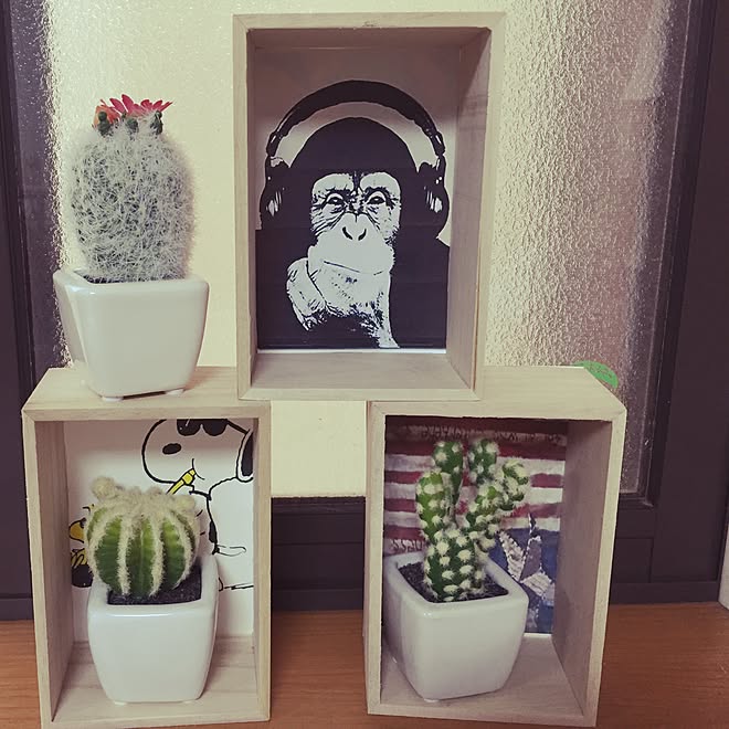 棚 アメリカン モンキー スヌーピー サボテン などのインテリア実例 16 05 23 16 35 43 Roomclip ルームクリップ