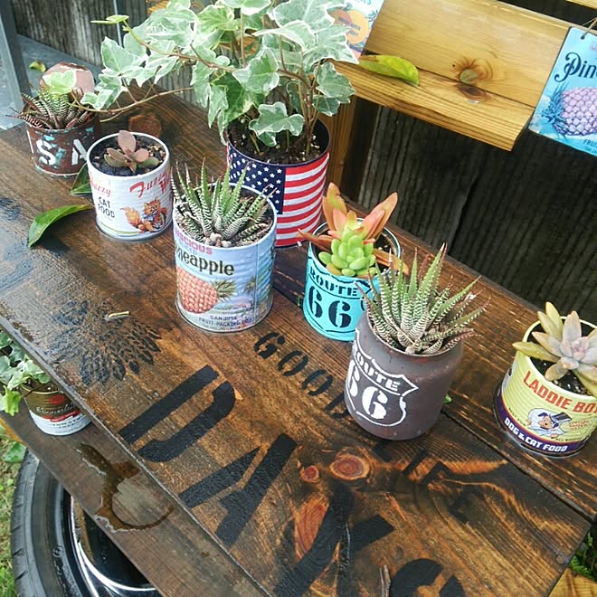 玄関/入り口/多肉植物/フォローありがとうございます☆/コメントありがとうございます♡/いいね!ありがとうございます♪...などのインテリア実例 - 2016-03-14 18:23:45