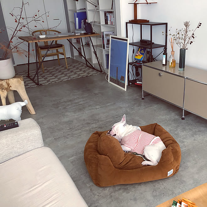 フリッツハンセン/リノベーション/犬と暮らす家/お花のある暮らし/シンプルインテリア...などのインテリア実例 - 2019-11-14 12:27:03