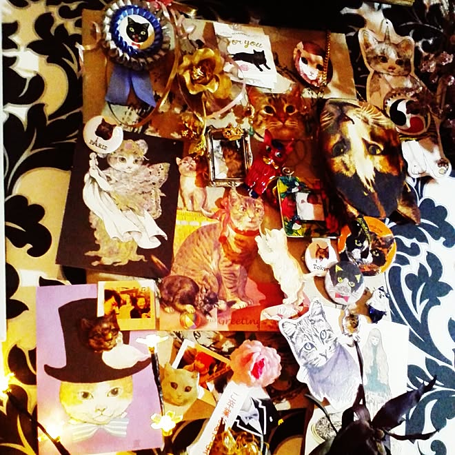 壁 天井 ごちゃごちゃ 何か色々 ねこのいる日常 ヒグチユウコ などのインテリア実例 16 10 07 18 50 27 Roomclip ルームクリップ