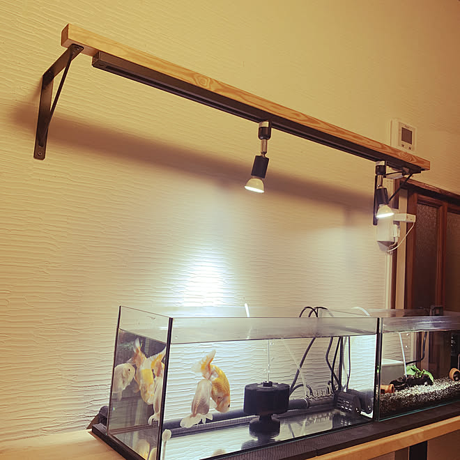 照明 Diy 水槽のある暮らし 金魚 ハンドメイド などのインテリア実例 11 10 22 34 36 Roomclip ルームクリップ