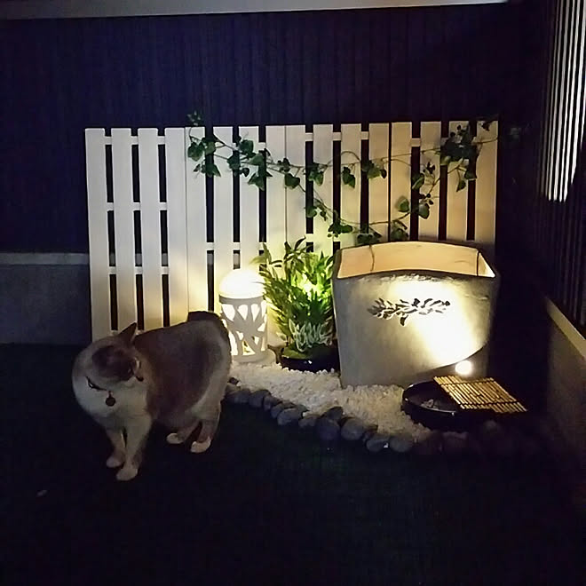 玄関 入り口 ２階ベランダ 坪庭 笹フェイク つくばい風 などのインテリア実例 18 01 16 21 02 36 Roomclip ルームクリップ