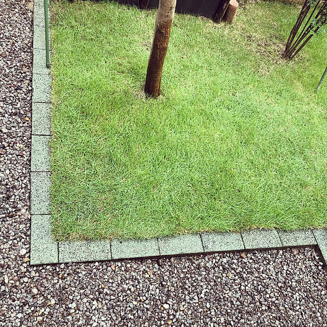 ブロック 庭 芝生 カメラマークが出てたので 南側 などのインテリア実例 21 07 26 03 29 52 Roomclip ルームクリップ