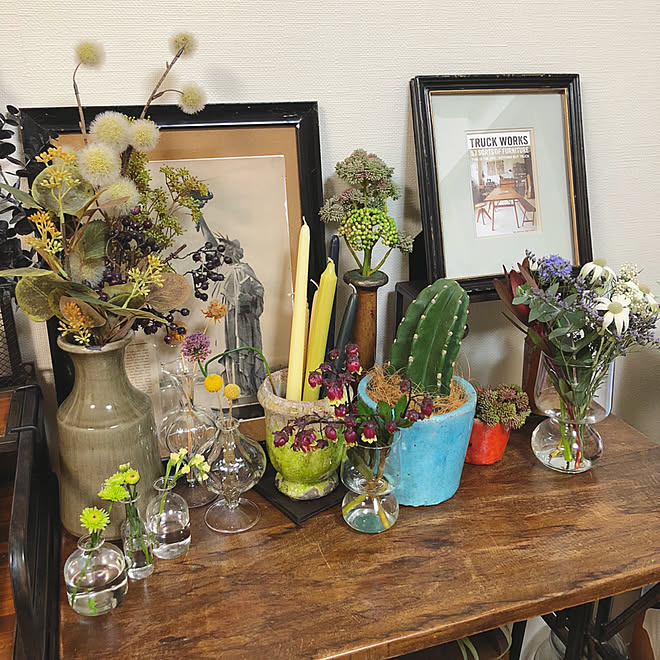 サボテン Adepeche ディスプレイコーナー お花のある暮らし ガラスベース などのインテリア実例 03 28 19 19 18 Roomclip ルームクリップ