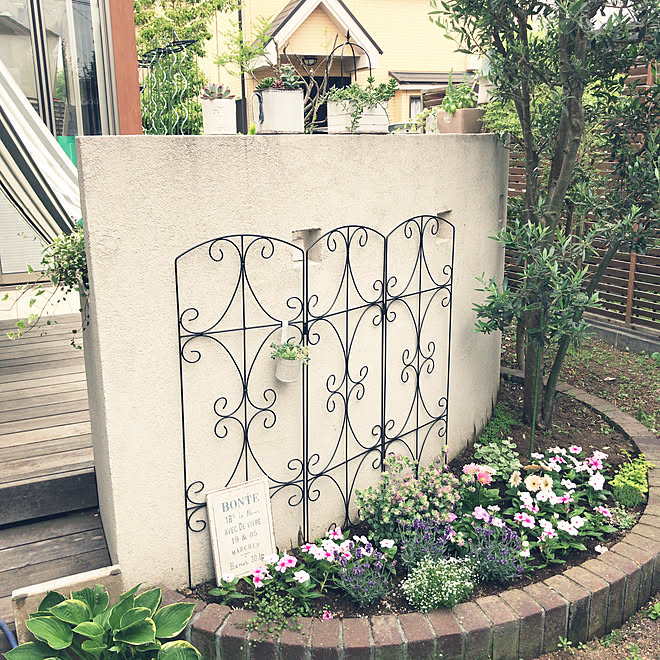 すべての美しい花の画像 最新のhdオリーブ 花壇