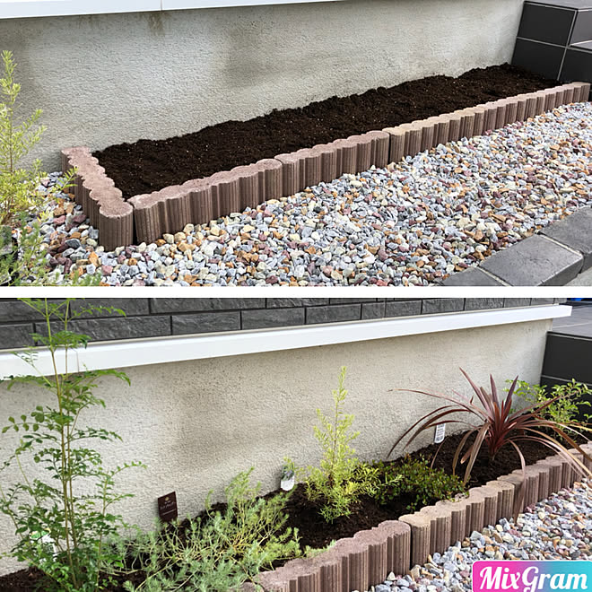 玄関 入り口 さっそく野良猫に荒らされた 枯れないか心配 花壇ｄｉｙ 北側花壇 などのインテリア実例 18 08 27 39 Roomclip ルームクリップ